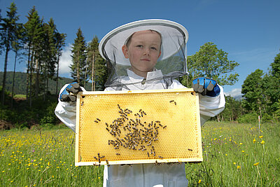 Ein Kind hält eine Honigwabe in der Hand