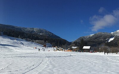 Ski for free - Bild07