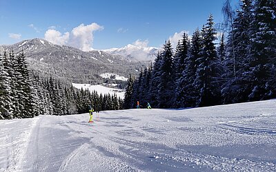 Ski for free - Bild04