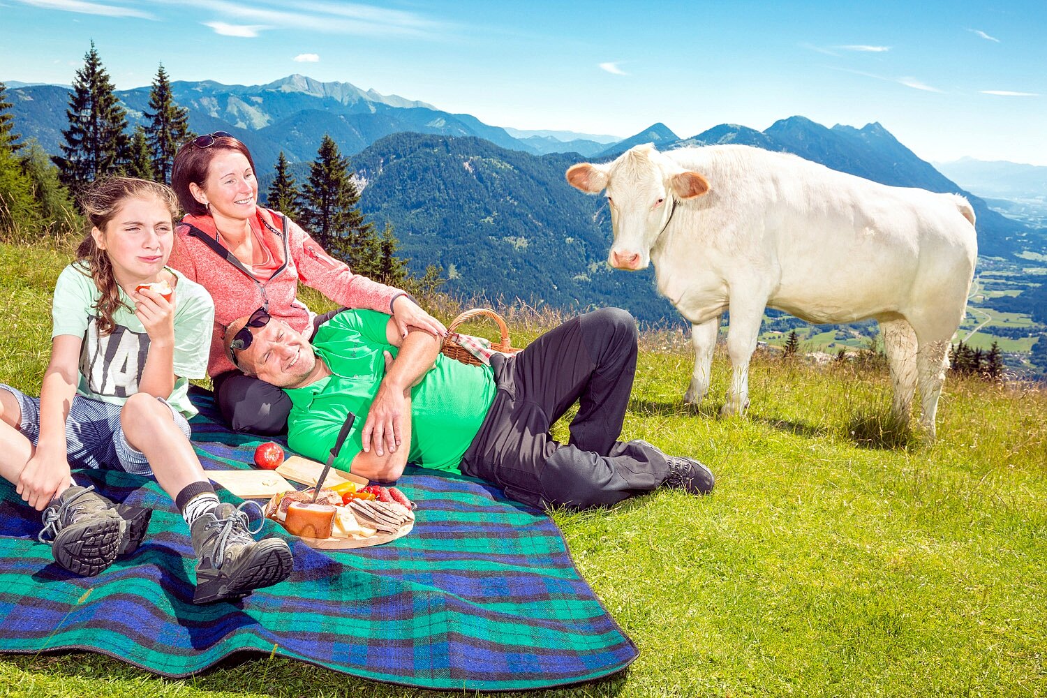 Die Familie auf einer Picknickdecke zur Mittagszeit. Im Hintergrund ist eine Kuh zu sehen.